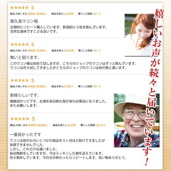 屋久島ウコン極70粒 2袋セット お試し 無農薬 有機栽培 産地直送 サプリメント [M便 1/3] |  | 09