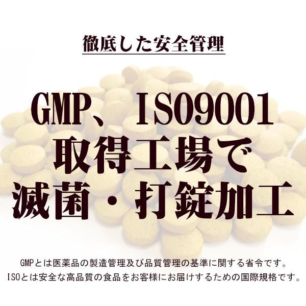 屋久島ウコン極70粒 ポッキリ 1,000円 お試し 無農薬 有機栽培 産地直送 サプリメント [M便 1/3]｜yakushimashop｜04