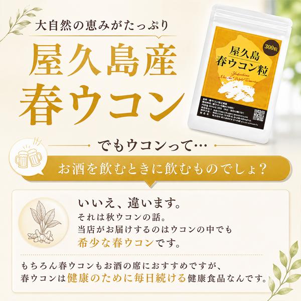 屋久島春ウコン粒300粒  無農薬 有機栽培 産地直送 サプリメント [M便 1/3] |  | 12