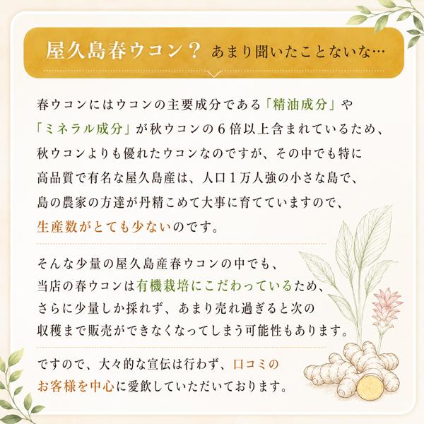 屋久島春ウコン粒300粒  無農薬 有機栽培 産地直送 サプリメント [M便 1/3] |  | 13