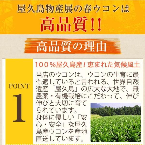 サプリ 屋久島春ウコン粒300粒  無農薬 有機栽培 産地直送 サプリメント [M便 1/3]｜yakushimashop｜14