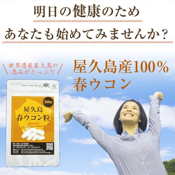 屋久島春ウコン粒300粒 無農薬 有機栽培 産地直送 サプリメント [M便 1