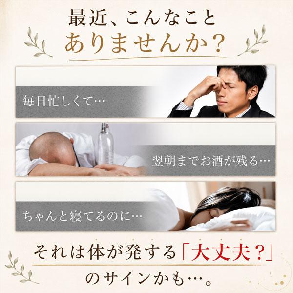 屋久島春ウコン粒300粒  無農薬 有機栽培 産地直送 サプリメント [M便 1/3] |  | 03