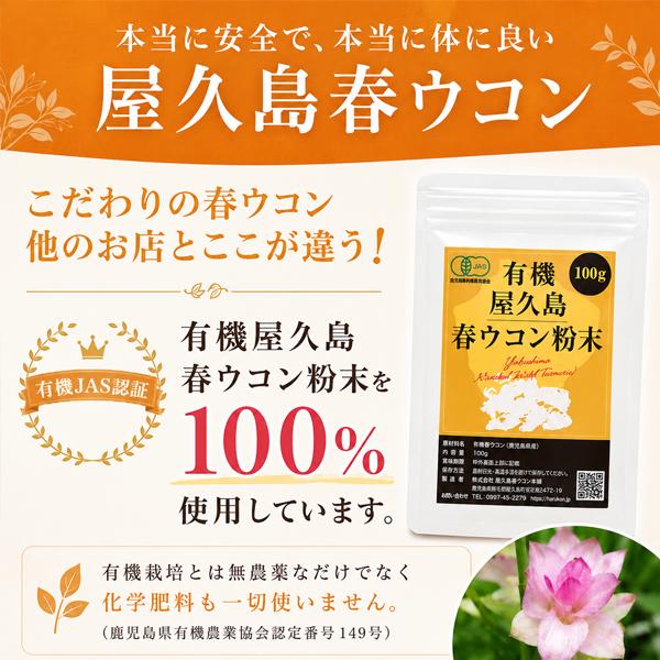 屋久島春ウコン粒300粒  無農薬 有機栽培 産地直送 サプリメント [M便 1/3] |  | 06