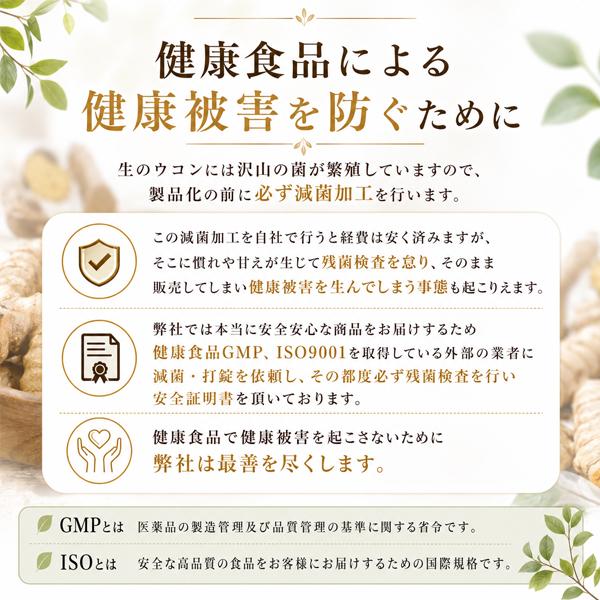 屋久島春ウコン粒300粒  無農薬 有機栽培 産地直送 サプリメント [M便 1/3] |  | 07
