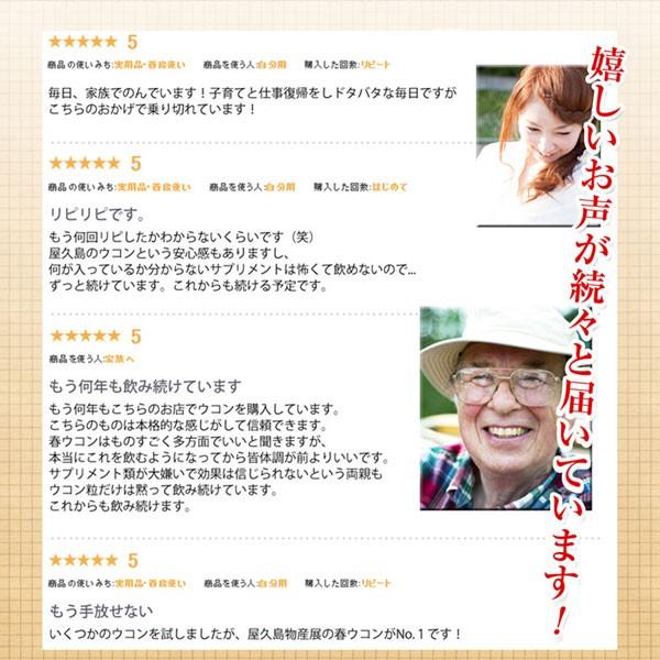 屋久島春ウコン粒300粒  無農薬 有機栽培 産地直送 サプリメント [M便 1/3] |  | 04