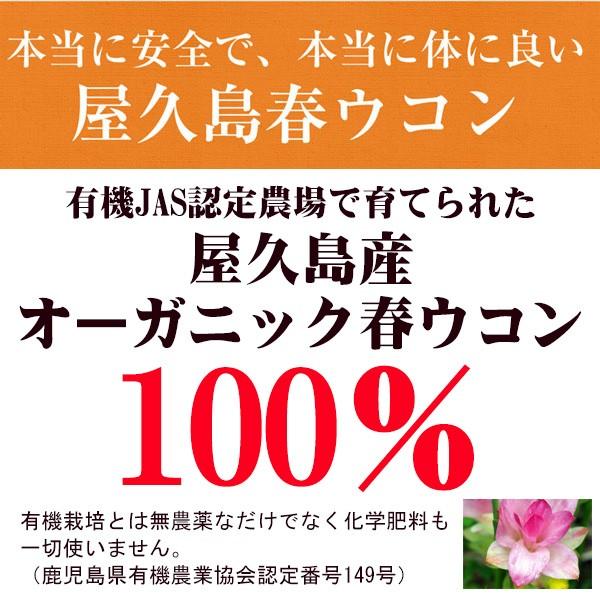 新品本物 屋久島春ウコン粉末100g 7袋セット 無農薬 有機栽培 産地直送 新着商品 Www Technet 21 Org