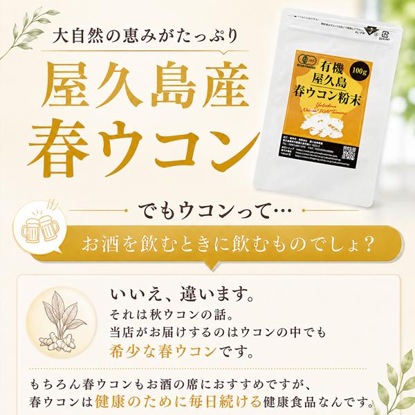 有機屋久島春ウコン粉末100g 有機JAS 無農薬 有機栽培 産地直送 [M便 1