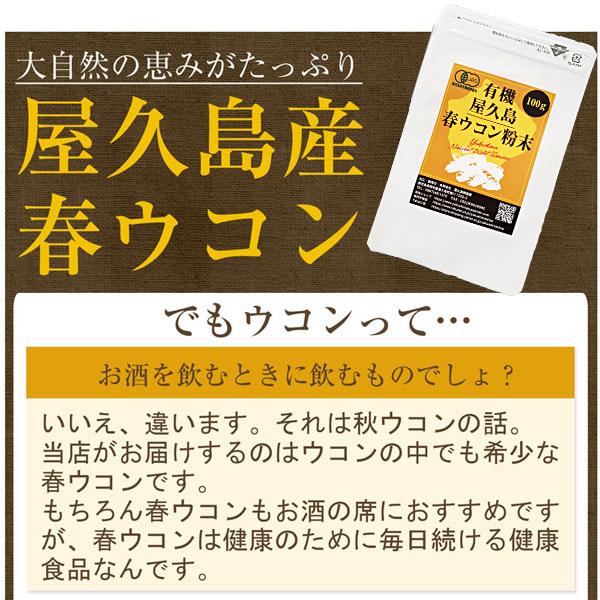有機屋久島春ウコン粉末100g 有機JAS 無農薬 有機栽培 産地直送 [M便 1