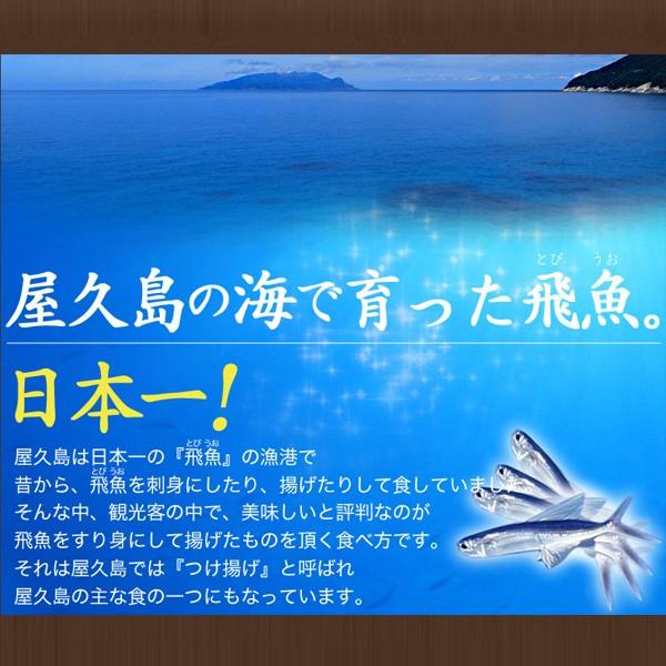 屋久トビのすり身 ３パックセット 飛び魚 つけ揚げ さつま揚げ Yt 1 屋久島物産展 Yahooショップ 通販 Yahoo ショッピング