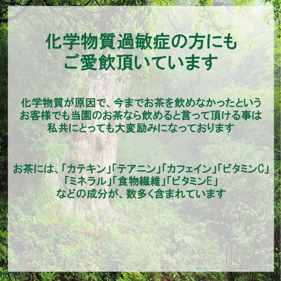 水出し（冷温共用）有機 無農薬 粉末緑茶 二番茶 120g×3 無化学肥料