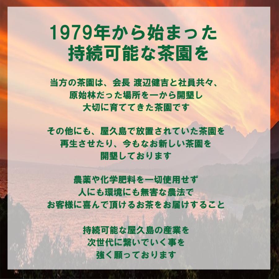 RIE お茶セット 粉茶×2 サプリ×2 GREEN DA・KA・RA 「選べる2箱」 選べるやさしいお茶 ルイボスティー