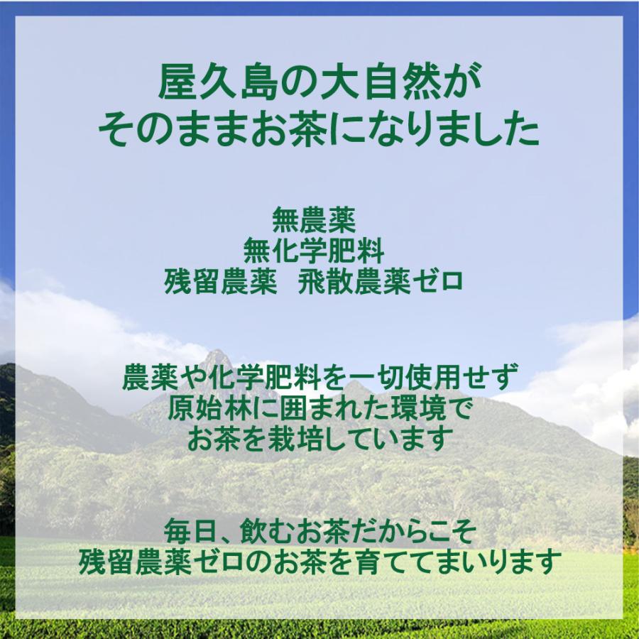 一番茶 粉末緑茶 パウダーティー 100g×２《屋久島自然栽培茶です》無農薬 無化学肥料 残留農薬ゼロ｜yakusima-miyamaen｜02