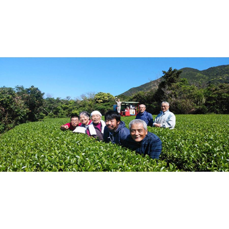 一番茶 粉末緑茶 パウダーティー 100g×5《屋久島自然栽培茶です》無農薬 無化学肥料 残留農薬ゼロ｜yakusima-miyamaen｜07