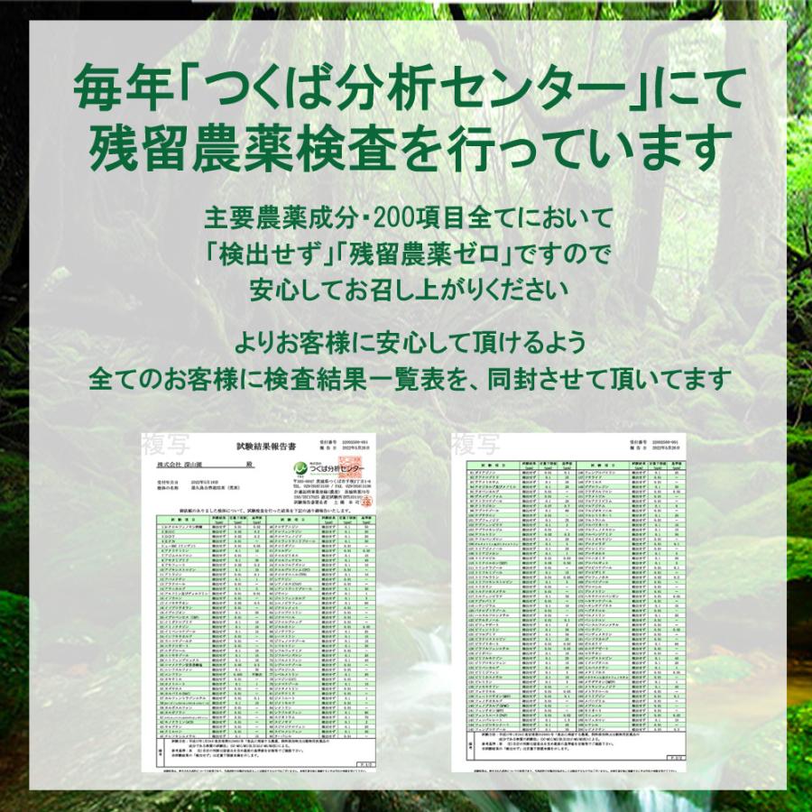 「ほうじ煎茶」茶葉100ｇ《屋久島徳用煎茶です》無農薬 無化学肥料｜yakusima-miyamaen｜04