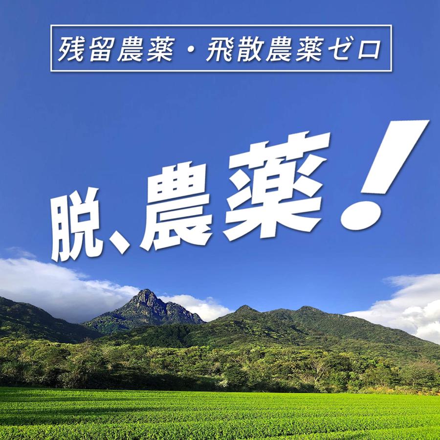 2026 有機 新茶】無農薬 お茶 屋久島 自然栽培「深山の露」100g 無農薬