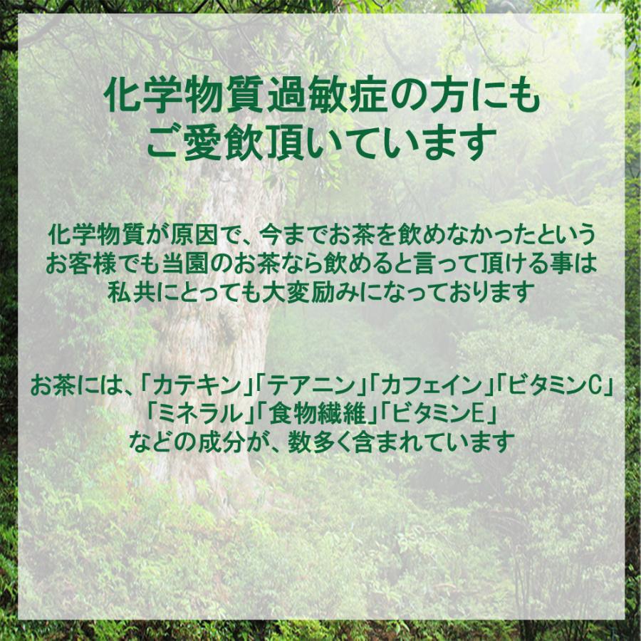 未選別ほうじ茶 ティーバッグ  3gx20p《屋久島自然栽培茶です》無農薬 無化学肥料 残留農薬ゼロ｜yakusima-miyamaen｜03