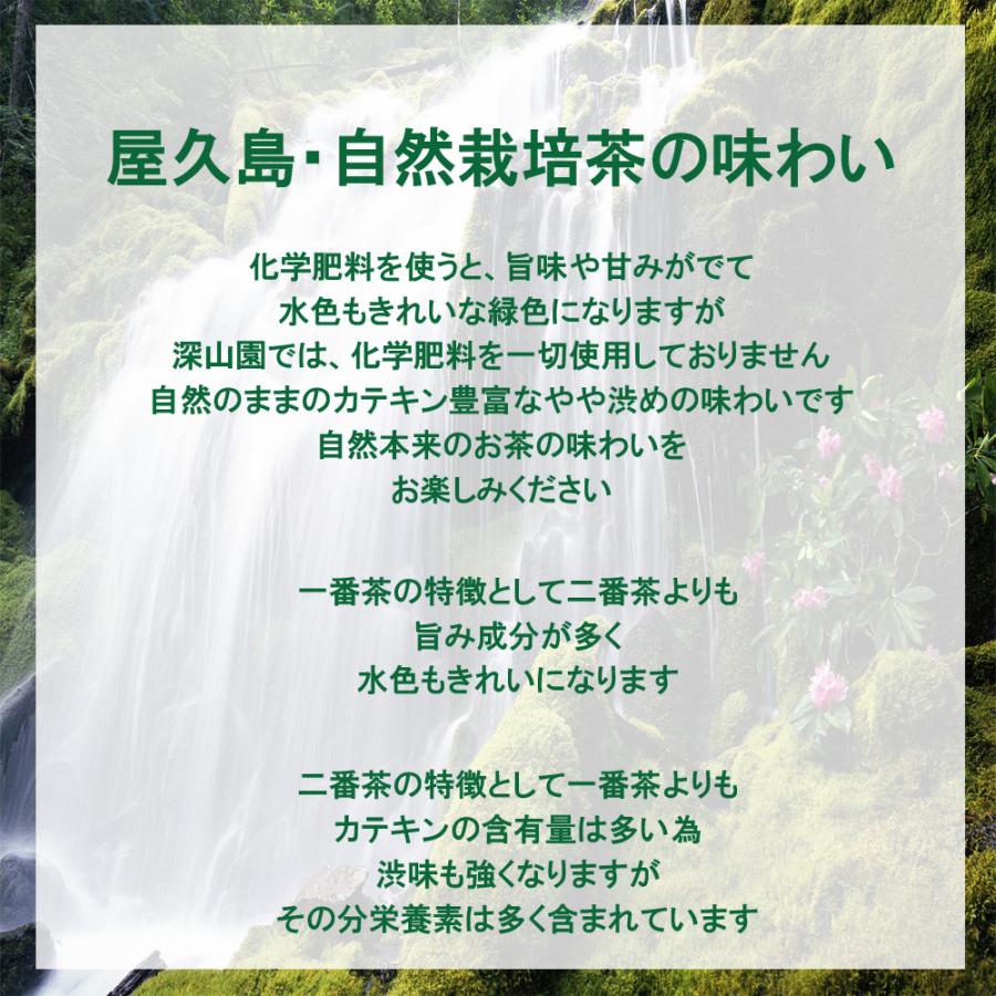 アールグレイ紅茶 100g《屋久島自然栽培茶です》無農薬 無化学肥料 残留農薬ゼロ 和紅茶｜yakusima-miyamaen｜06