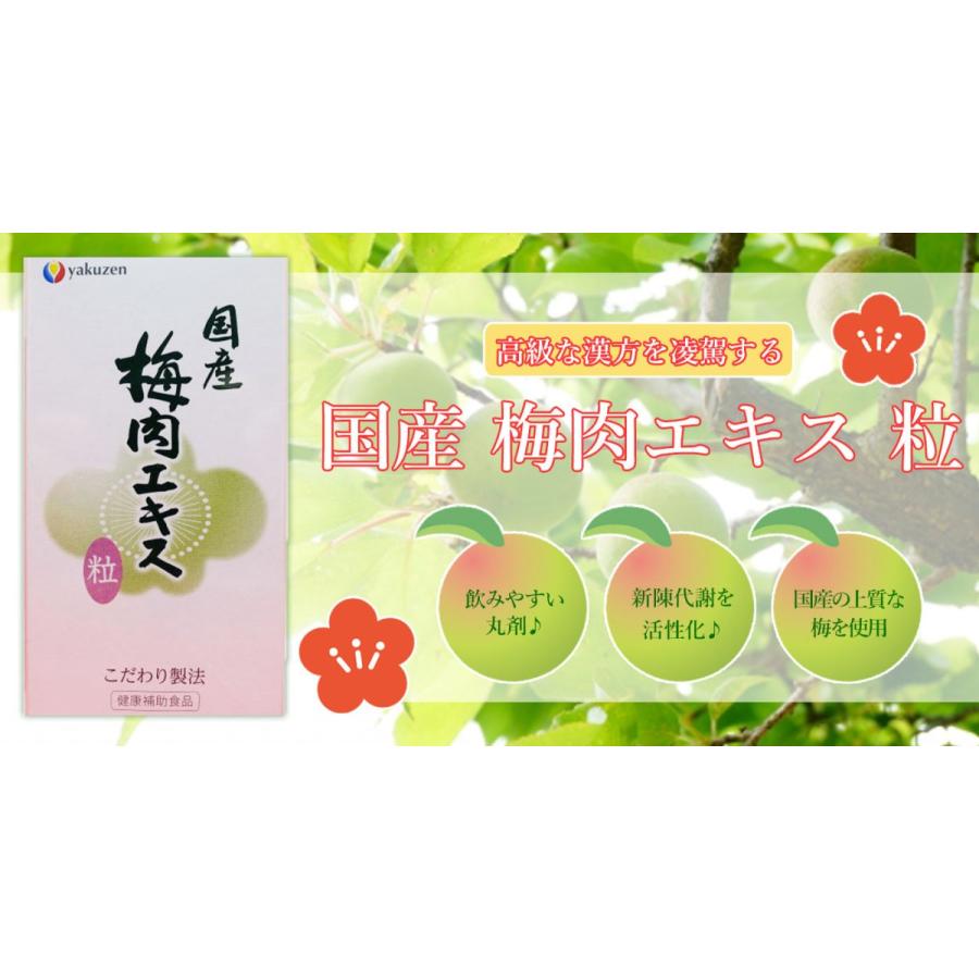 国産 梅肉エキス粒（約600粒・120g） | 