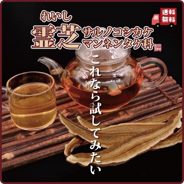 霊芝 120g れいし レイシ 赤霊芝 漢方 本場中国から輸入 健康茶 サルノコシカケ科 マンネンダケ 長寿薬膳堂（Yahoo!・長寿薬膳堂）