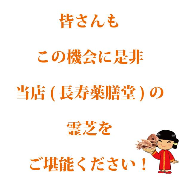 【中古】 驚異の食薬霊芝健康法 だれにもわかる「霊芝健康法」のすべて/東洋医学舎/金子今朝夫 中古】 驚異の食薬霊芝健康法 だれにもわかる「霊芝健康