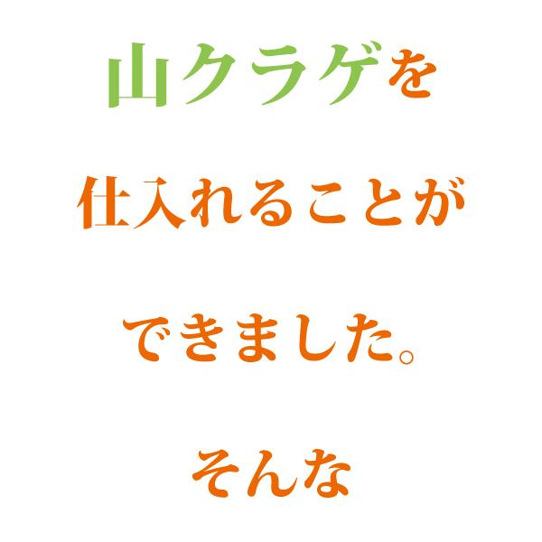 山クラゲ 100g×2袋 山くらげ 乾燥山クラゲ 無農薬 オーガニック ダイエット 低カロリー 食物繊維 腹持ちがいい ご飯のお供 長寿薬膳堂｜yakuzendou｜19