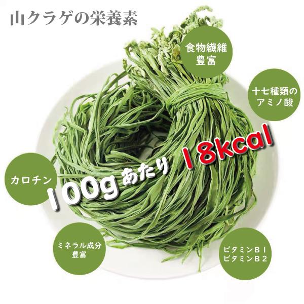 山クラゲ 100g×2袋 山くらげ 乾燥山クラゲ 無農薬 オーガニック ダイエット 低カロリー 食物繊維 腹持ちがいい ご飯のお供 長寿薬膳堂｜yakuzendou｜09