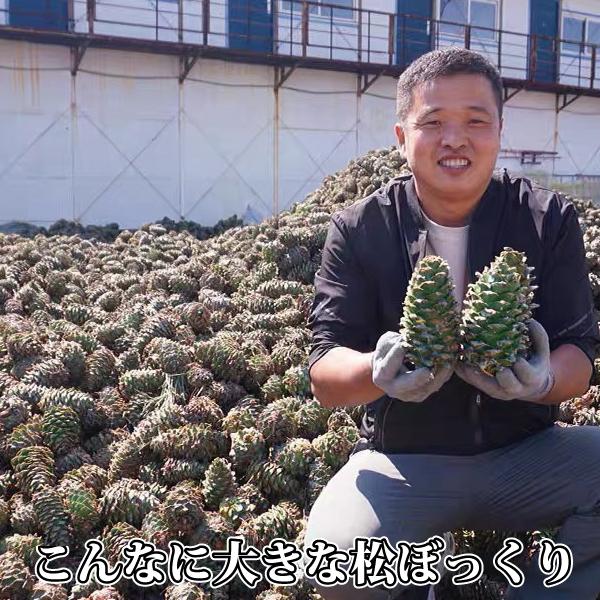 スーパーフード　陸の牡蠣 松の実1000g　製菓材料 薬膳 無添加 無農薬 松の実 スーパーフード 陸の牡蠣 無添加 無農薬 製菓材料 薬膳