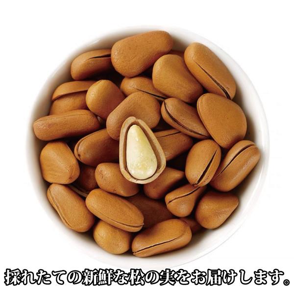 松の実100g 大粒 クリーミー 新物限定 とれとれ サクサク 陸の牡蠣