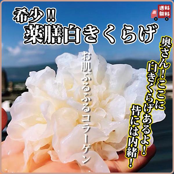 白きくらげ 200g 無農薬 無添加 乾燥 白木耳 銀耳 白キクラゲ 残留農薬検査済み スープ 味噌汁 デザートに 食物繊維 薬膳 送料無料 長寿薬膳堂（Yahoo!・長寿薬膳堂）
