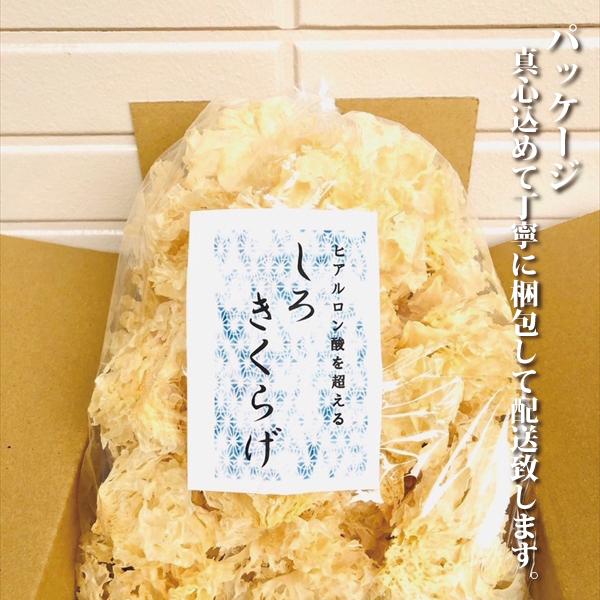 白きくらげ 160g 薬膳 高級食材 白 希少 乾燥 漢方 健康食品 農薬不使用 無添加 圧倒的な安さ 日本を健康にする長寿薬膳堂｜yakuzendou｜13