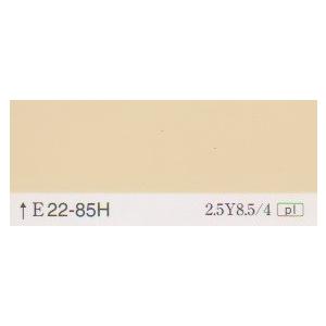 水性セラミシリコン　調色　日塗工色　２２−８５Ｈ　１６kg