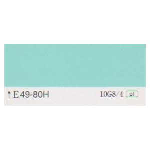 クリーンマイルドウレタン　日塗工色　４９−８０Ｈ　１５kgセット