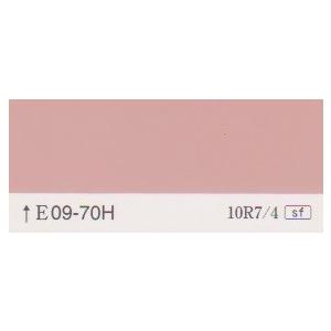 クリーンマイルドシリコン　日塗工色　０９−７０H　１５Kgセット