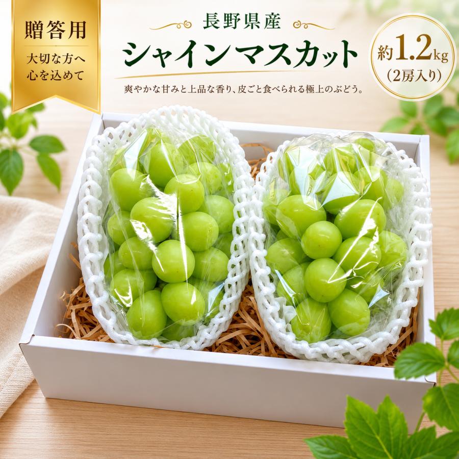 シャインマスカット化粧箱入り ハウス栽培】【贈答用】 シャインマスカット 化粧箱 2房 長野県産 大粒