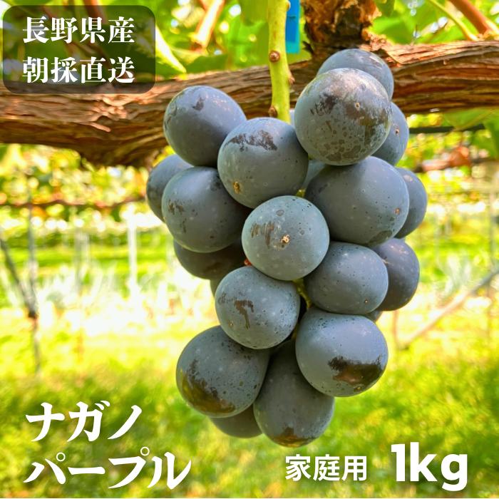 ご家庭用】ナガノパープル信州長野県産1kg : 山崎果樹園 - 通販