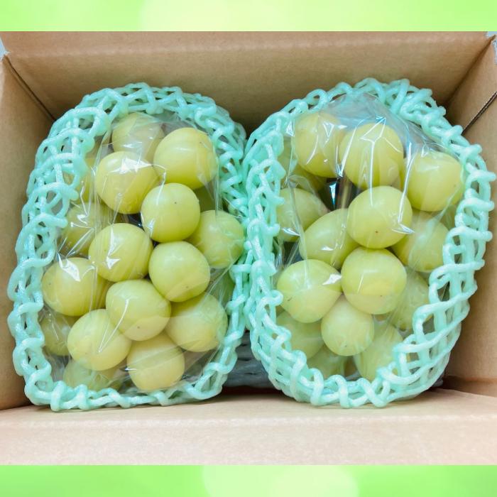 長野県産】 シャインマスカット 1kg 露地栽培 通常品 種なし 皮ごと