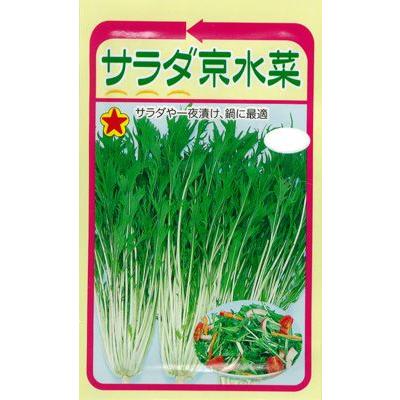 水菜種 サラダ京水菜 トーホク Harutane24 ヤマシチ 通販 Yahoo ショッピング