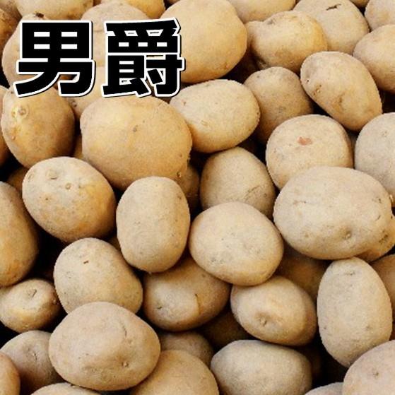 今ダケ送料無料 種芋 種ジャガイモ 男爵 5kg