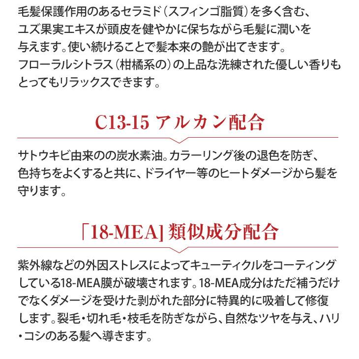 ピアベルピア　スパシャンプー＆コンディショナーセット 各500ml｜yama-p｜13