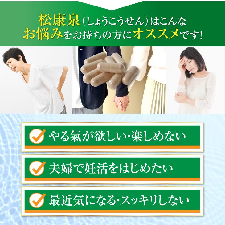 徳潤 松康泉 しょうこうせん 100粒 松こぶ 松節 エキス 柳葉 徳潤 松康泉 しょうこうせん 100粒 松こぶ 松節 エキス 柳葉