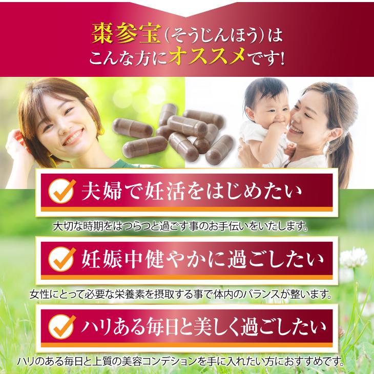 徳潤 棗参宝 そうじんほう 100粒 葉酸 黒棗 くろなつめ 阿膠 あ