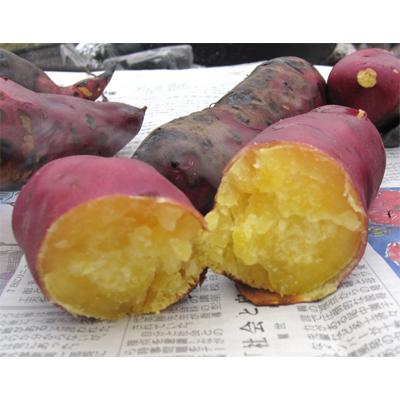 山梨産さつまいも【あけの金時】5kg箱【直送品A】 : 山の廻船 山梨産さつまいも【あけの金時】5kg箱【直送品A】 : 山の廻船