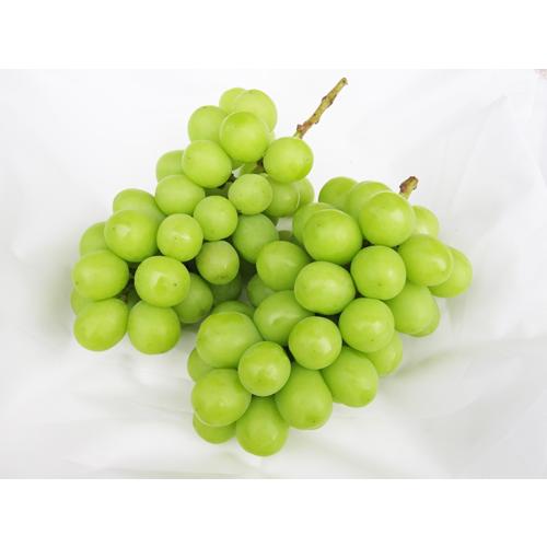 山梨産　シャインマスカット3房約2kg 山梨産「シャインマスカット」2kg箱（3房前後）山梨県笛吹市産 8月