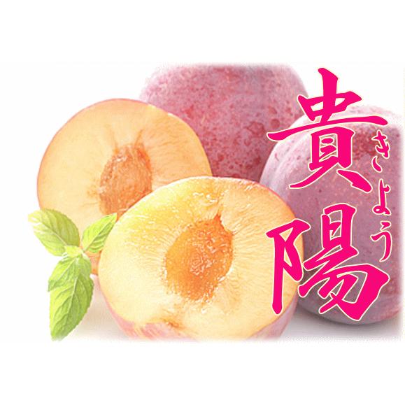 皇寿　南アルプス市より産直　貴陽　箱数限定 皇寿 南アルプス市より産直 貴陽 箱数限定 - メルカリ