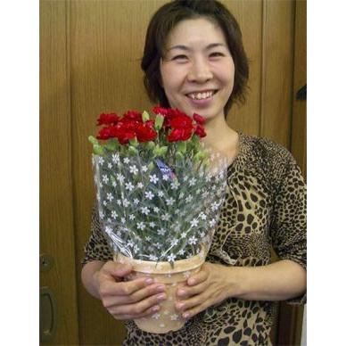 カーネーション 黄緑 ５号鉢 直径15cm 鉢花 Swen 5 山の廻船問屋 通販 Yahoo ショッピング