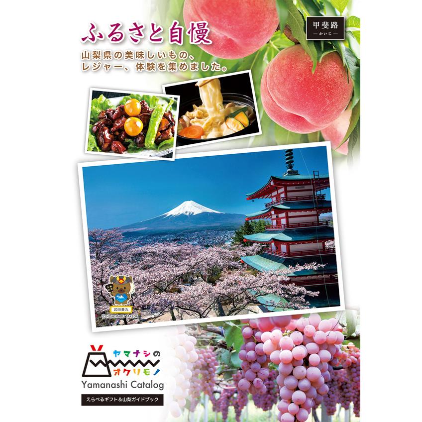 「山梨を贈る」カタログギフト（カード式）３冊セット　内祝・出産・結婚・御中元・御歳暮・志・景品・記念品・引出物　送料無料