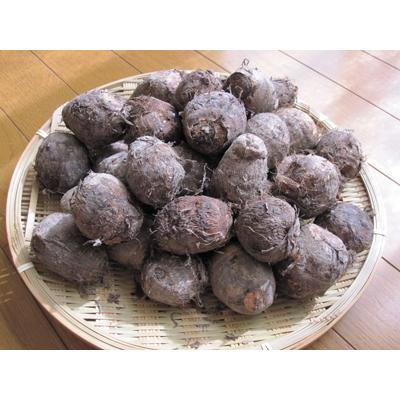 八幡 やはたいも（2Lサイズ） 2kg箱 ※日にち指定不可 : 山の廻船