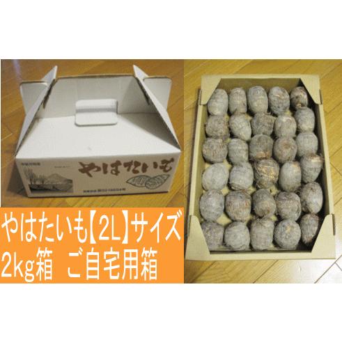 八幡 やはたいも（2Lサイズ） 2kg箱 ※日にち指定不可 : 山の廻船