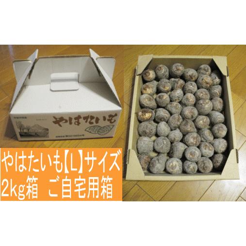 八幡 やはたいも（Lサイズ） 2kg箱 ※日にち指定不可 : 山の廻船問屋